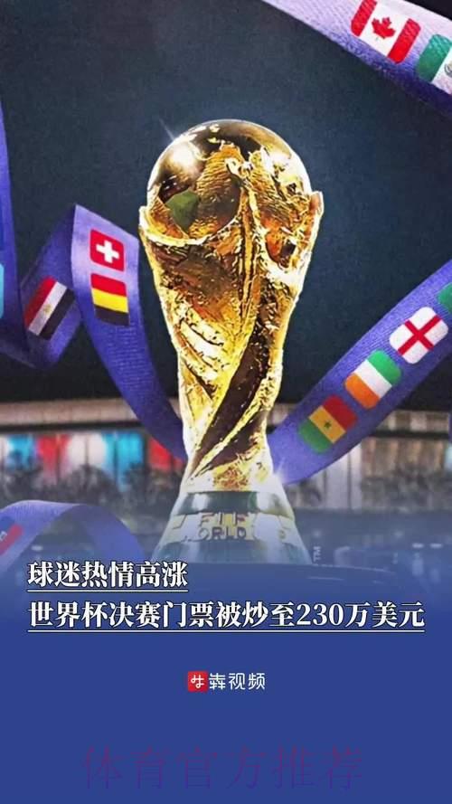 世界杯赛事比分引爆热议，球迷关注热情为何持续高涨